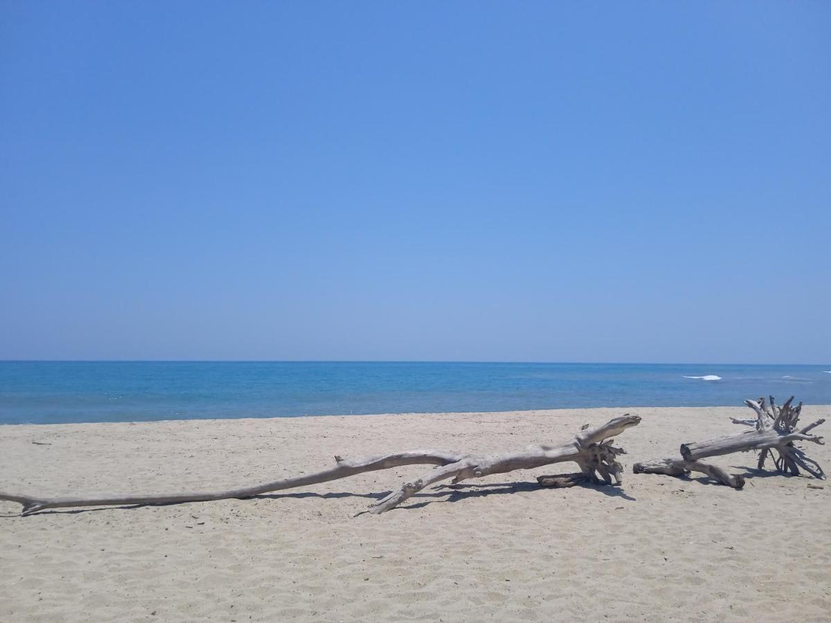 Bob Marley Beach Guachaca Extérieur photo